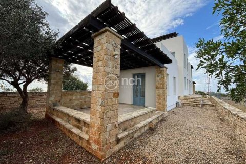 Вилла с 4 спальнями в Писсури, Кипр №76240 5