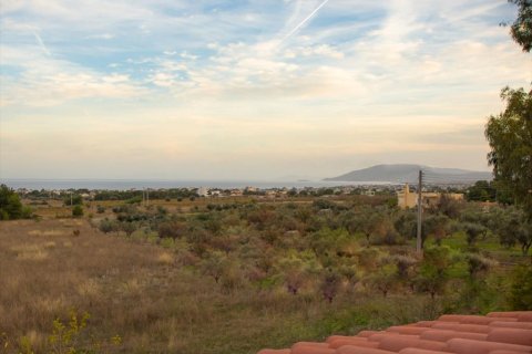 6 bedrooms House in Rafina, Greece No. 59746 9