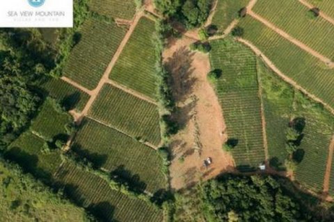 4 dormitorios Villa en Hua Hin, Thailand No. 96547 3