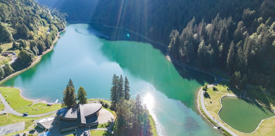 5 dormitorios House en Montriond, France No. 99722