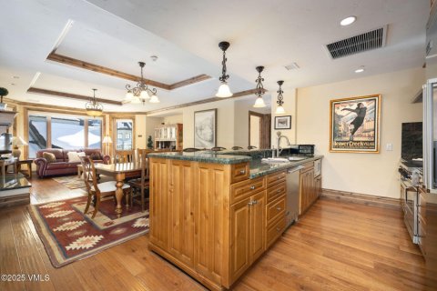 3 bedrooms Condo  in Vail, USA No. 76733 4