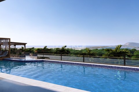 Пентхаус с 2 спальнями в Chau Lang, Вьетнам №88592 28