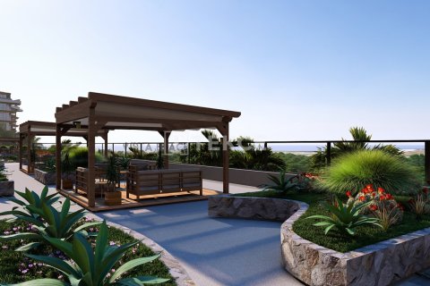 Пентхаус с 2 спальнями в Chau Lang, Вьетнам №88592 25