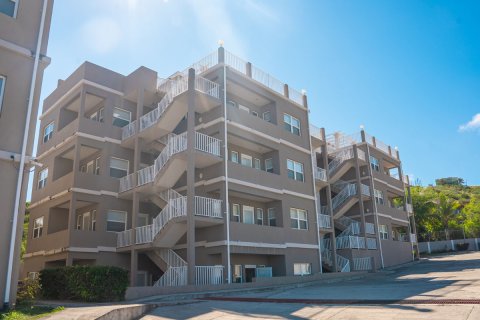 Condo in Lucas, Saint Kitts and Nevis No. 61467 3