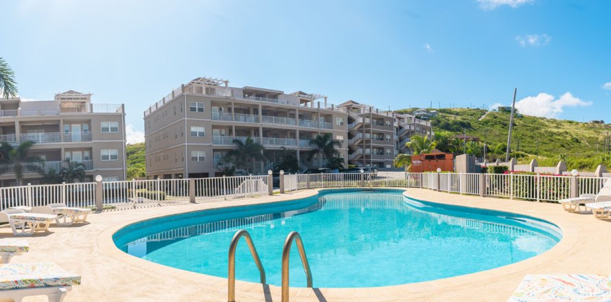 Studio in Condo in Lucas, Saint Kitts and Nevis No. 61467