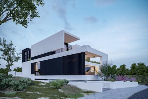 7 chambres Villa à Limassol, Cyprus No. 106982 5