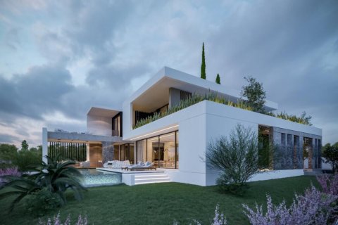 7 bedrooms Villa in Limassol, Cyprus No. 106982