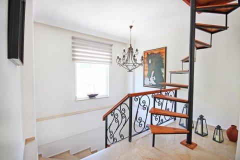 4 bedrooms Villa in Tri Phuong, Vietnam No. 14182 17