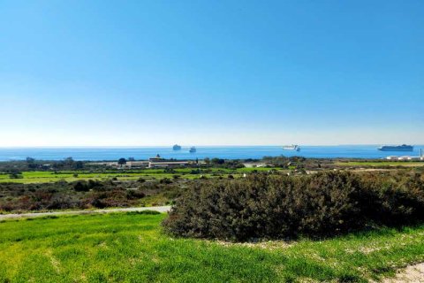 Commercial property en Pyrgos, Cyprus No. 35433 4