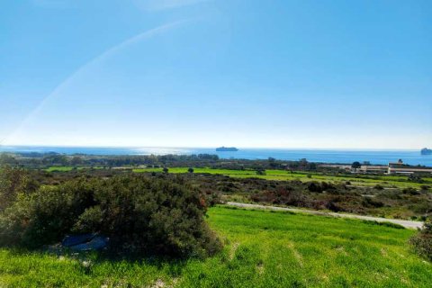 Commercial property en Pyrgos, Cyprus No. 35433 1