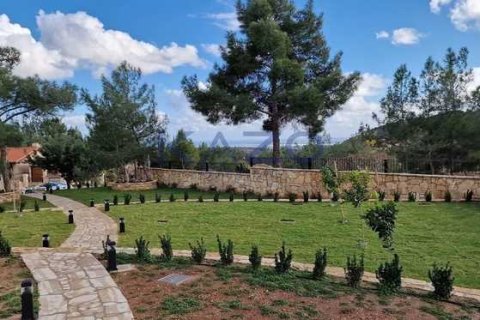 4 bedrooms Villa in Souni–Zanatzia, Cyprus No. 72380 3