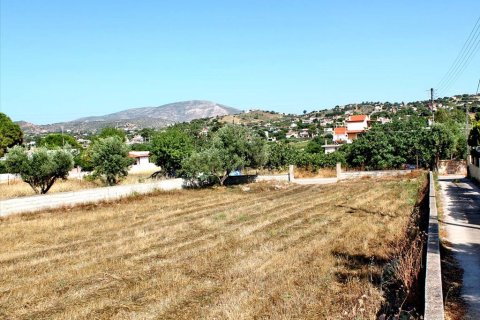 1385m² Land à Koropi, Greece No. 59588 1