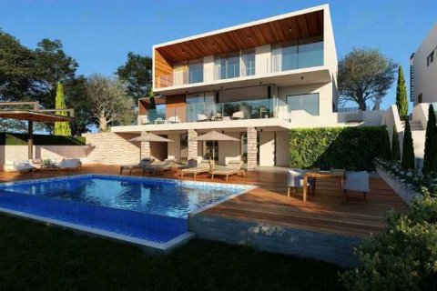 6 bedrooms House in Chloraka, Cyprus No. 39689 4