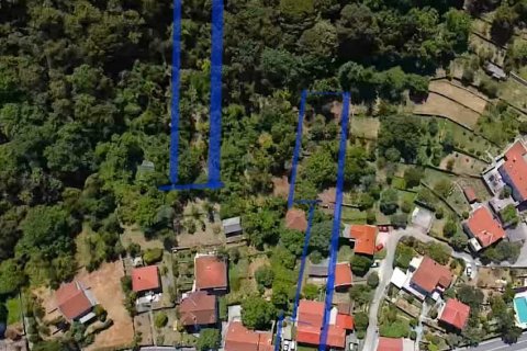 64m² Apartment in Tivat, Montenegro No. 66826 7