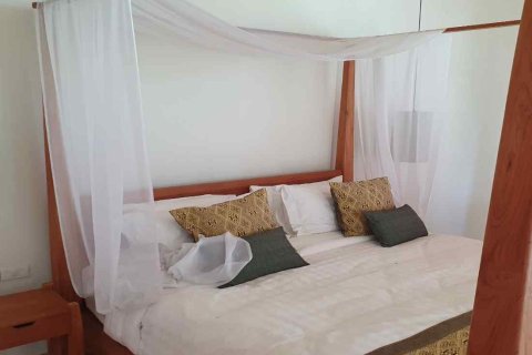 8 dormitorios Commercial property en Chiang Mai, Thailand No. 97598 10