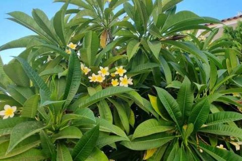 4 bedrooms Villa in Agios Tychonas, Cyprus No. 30627 2