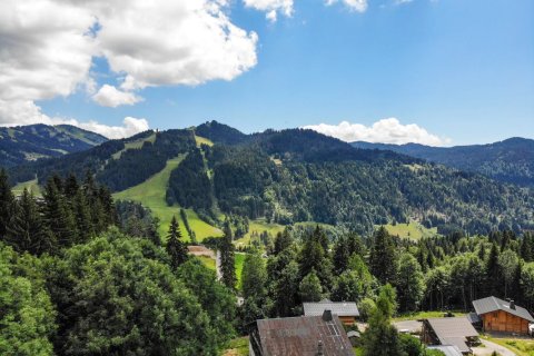 4451m² Land in Les Gets, France No. 99973 2