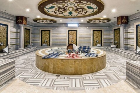 Квартира с 1 спальней в Phong Thanh Tay A, Вьетнам №14131 4