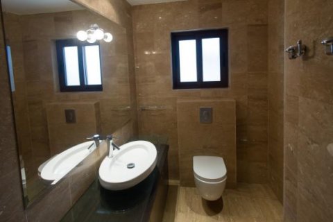 Studio Villa in Limassol, Cyprus No. 105706 14