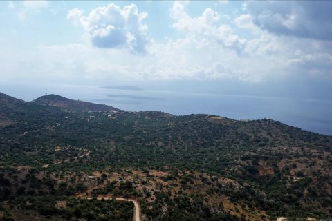 14240m² Land in Agios Nikolaos, Greece No. 58753 2