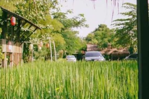 5 bedrooms Commercial property in Chiang Mai, Thailand No. 98090 21