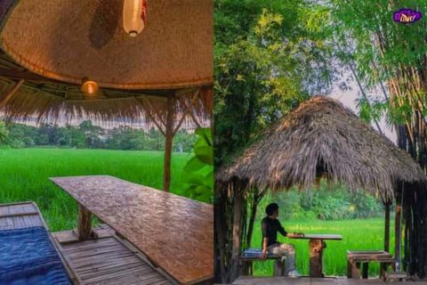 5 bedrooms Commercial property in Chiang Mai, Thailand No. 98090 23