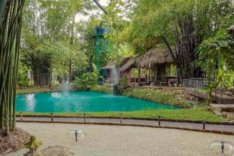 5 bedrooms Commercial property in Chiang Mai, Thailand No. 98090 7