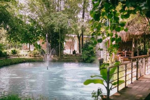 5 bedrooms Commercial property in Chiang Mai, Thailand No. 98090 5