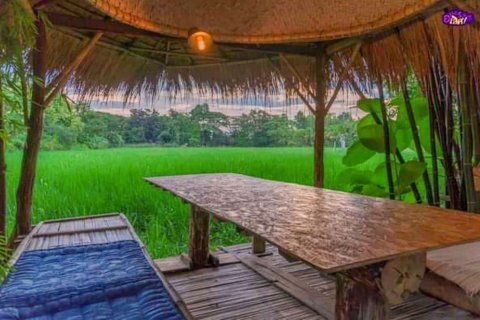 5 bedrooms Commercial property in Chiang Mai, Thailand No. 98090 20