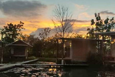 5 bedrooms Commercial property in Chiang Mai, Thailand No. 98090 9