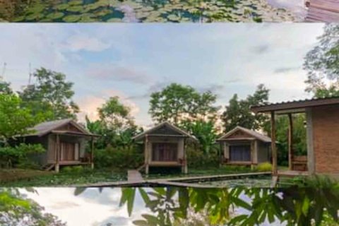 5 bedrooms Commercial property in Chiang Mai, Thailand No. 98090 2