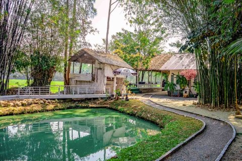 5 bedrooms Commercial property in Chiang Mai, Thailand No. 98090 6