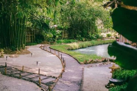 5 bedrooms Commercial property in Chiang Mai, Thailand No. 98090 3