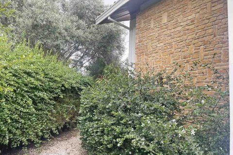 4 bedrooms House in Enkomi, Cyprus No. 65567 6