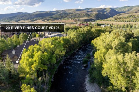 Кондоминиум  с 2 спальнями в Эдвардс, США №62121 26