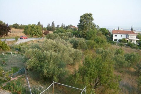 1008m² Bâtiment à Thessaloniki, Greece No. 60641 5