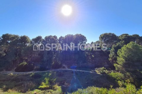 3 chambres Villa à Thuy Tay, Vietnam No. 25887 7