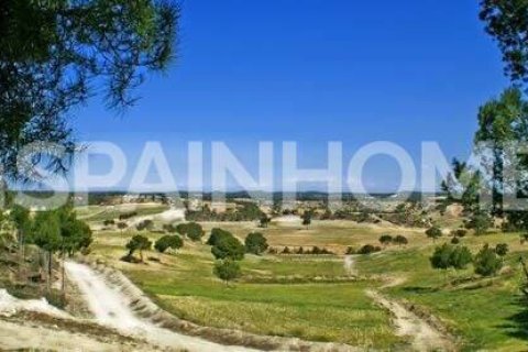 3 chambres Villa à Thuy Tay, Vietnam No. 25887 9