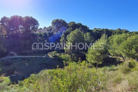 3 chambres Villa à Thuy Tay, Vietnam No. 25887 2