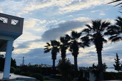 4 dormitorios Villa en Oropos, Greece No. 107864 8