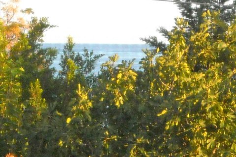 3 bedrooms Maisonette in Arcadia, Greece No. 60326 15