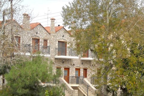 3 bedrooms Maisonette in Arcadia, Greece No. 60326 2