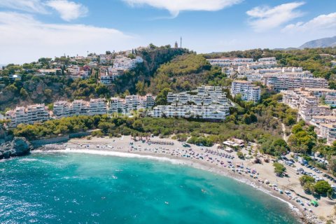 3 chambres Villa à Na Ri, Vietnam No. 88252 11