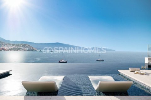 3 chambres Villa à Na Ri, Vietnam No. 88252 15