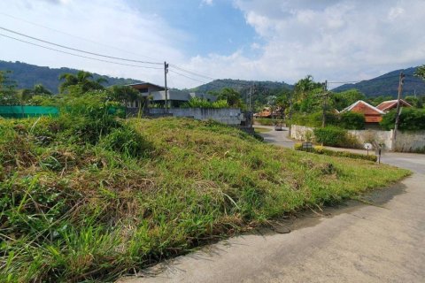608m² Land in Nai Harn Beach, Thailand No. 98109 8