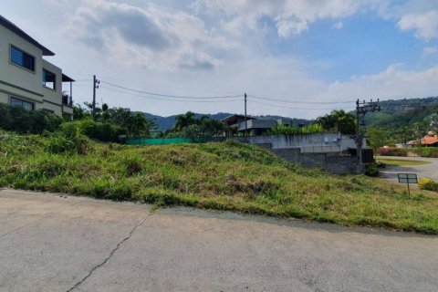 608m² Land in Nai Harn Beach, Thailand No. 98109 10