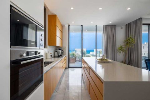 5 bedrooms House in Chloraka, Cyprus No. 40336 6