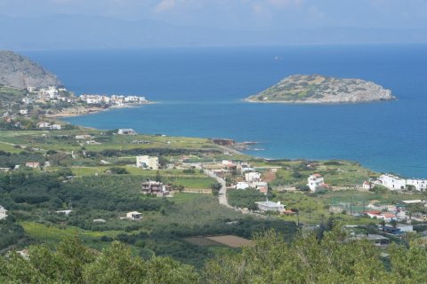 13000m² Land in Sitia, Greece No. 56997 2