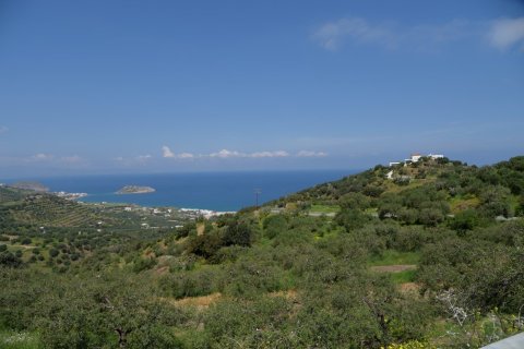 13000m² Land in Sitia, Greece No. 56997 1