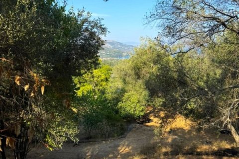 1 bedroom Villa in Corfu, Greece No. 110149 15